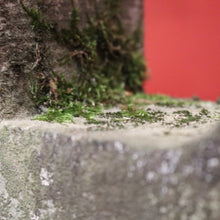 Load image into Gallery viewer, x SOLD Antique French Bluestone Cross, Religious Ornament, Home Devotion Cross. B11859