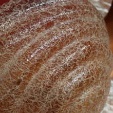 Load image into Gallery viewer, SOLD Marzio Cecchi, 'Lumaca' Snail Lamp, Vintage 1969 Studio Most Murano Snail Lamp. B11550