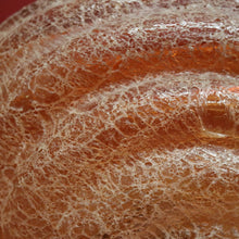 Load image into Gallery viewer, SOLD Marzio Cecchi, 'Lumaca' Snail Lamp, Vintage 1969 Studio Most Murano Snail Lamp. B11550