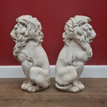 Load image into Gallery viewer, x SOLD Two large, tall Architectural sitting stone concrete Lions, garden statues. MP74-28001