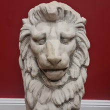 Load image into Gallery viewer, x SOLD Two large, tall Architectural sitting stone concrete Lions, garden statues. MP74-28001