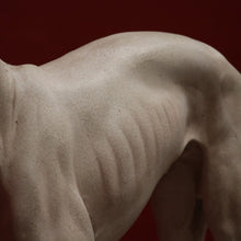 Load image into Gallery viewer, x SOLD Whippet, composite Whippet Statue, Door Stop, Garden, Verandah or Interiors Décor. B11775