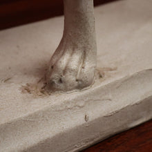 Load image into Gallery viewer, x SOLD Whippet, composite Whippet Statue, Door Stop, Garden, Verandah or Interiors Décor. B11775