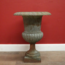 Load image into Gallery viewer, x SOLD Antique French Cast Iron Jardinière, Planter, Plant Pot, Garden Pot. B11691