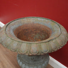 Load image into Gallery viewer, x SOLD Antique French Cast Iron Jardinière, Planter, Plant Pot, Garden Pot. B11691
