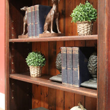 Load image into Gallery viewer, x SOLD Antique Australian Maple Open Fount Bookcase with Two Adjustable Shelves. B12339