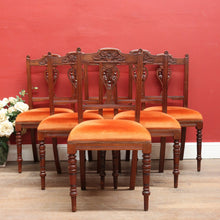 Load image into Gallery viewer, Set of Six Australian Cedar Dining Chairs with Burnt Orange Seats. B12684