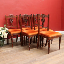 Load image into Gallery viewer, Set of Six Australian Cedar Dining Chairs with Burnt Orange Seats. B12684