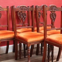 Load image into Gallery viewer, Set of Six Australian Cedar Dining Chairs with Burnt Orange Seats. B12684