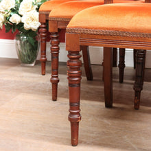 Load image into Gallery viewer, Set of Six Australian Cedar Dining Chairs with Burnt Orange Seats. B12684