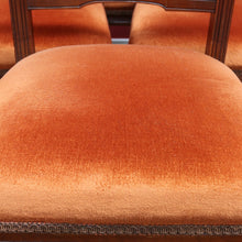 Load image into Gallery viewer, Set of Six Australian Cedar Dining Chairs with Burnt Orange Seats. B12684