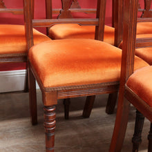 Load image into Gallery viewer, Set of Six Australian Cedar Dining Chairs with Burnt Orange Seats. B12684