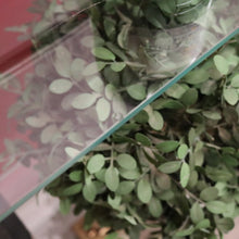 Load image into Gallery viewer, x SOLD Antique French Patisserie Stand or Bistro Kitchen Stand or Counter - High Tea. B12380