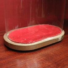 Load image into Gallery viewer, x SOLD Antique Glass Dome and Wooden Base, Statue, Religious, Clock Cover, Taxidermy Dome. B12316