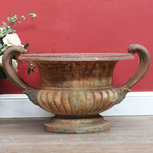 Load image into Gallery viewer, Antique French Cast Iron Medici Urn Campana Garden Planter. B12981