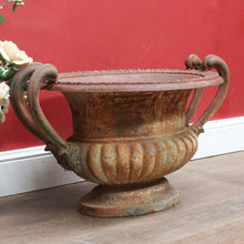 Load image into Gallery viewer, Antique French Cast Iron Medici Urn Campana Garden Planter. B12981