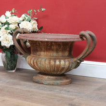 Load image into Gallery viewer, Antique French Cast Iron Medici Urn Campana Garden Planter. B12981