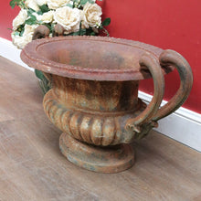 Load image into Gallery viewer, Antique French Cast Iron Medici Urn Campana Garden Planter. B12981