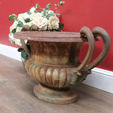 Load image into Gallery viewer, Antique French Cast Iron Medici Urn Campana Garden Planter. B12981