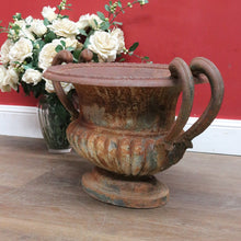 Load image into Gallery viewer, Antique French Cast Iron Medici Urn Campana Garden Planter. B12981