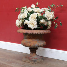 Load image into Gallery viewer, Antique Cast Iron Medici-style Campana shaped Garden Urn Pot Planter B13001