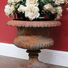 Load image into Gallery viewer, Antique Cast Iron Medici-style Campana shaped Garden Urn Pot Planter B13001
