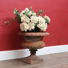Load image into Gallery viewer, Antique Cast Iron Medici-style Campana shaped Garden Urn Pot Planter B13001