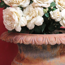 Load image into Gallery viewer, Antique Cast Iron Medici-style Campana shaped Garden Urn Pot Planter B13001