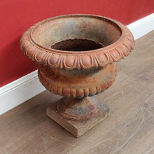 Load image into Gallery viewer, Antique Cast Iron Medici-style Campana shaped Garden Urn Pot Planter B13001