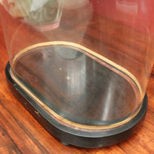 Load image into Gallery viewer, x SOLD Antique Glass Dome and Wooden Base, Statue, Religious, Clock Cover, Taxidermy Dome. B12125