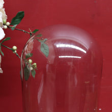 Load image into Gallery viewer, Antique French Napoleon III Glass Cloche or Bell Jar on Black Painted Timber Base. B12314