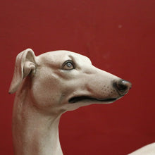 Load image into Gallery viewer, x SOLD Whippet, composite Whippet Statue, Door Stop, Garden, Verandah or Interiors Décor. B11775
