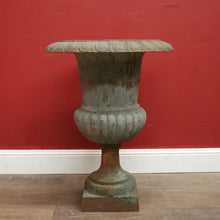 Load image into Gallery viewer, Antique French Cast Iron Jardinière, Planter, Plant Pot, Garden Pot. B11691
