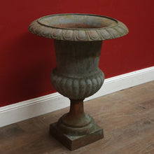 Load image into Gallery viewer, x SOLD Antique French Cast Iron Jardinière, Planter, Plant Pot, Garden Pot. B11691
