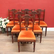 Load image into Gallery viewer, Set of Six Australian Cedar Dining Chairs with Burnt Orange Seats. B12684
