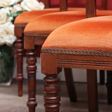 Load image into Gallery viewer, Set of Six Australian Cedar Dining Chairs with Burnt Orange Seats. B12684
