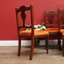 Load image into Gallery viewer, Set of Six Australian Cedar Dining Chairs with Burnt Orange Seats. B12684
