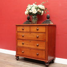 Load image into Gallery viewer, Antique Australian Cedar Five Drawer Chest of Drawers circa 1880. B13090
