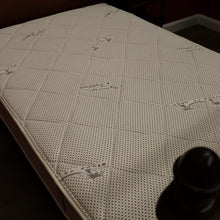 Load image into Gallery viewer, Antique Australian Cedar and Blackwood Bed and Custom Mattress. Tasmania c1850. B12449
