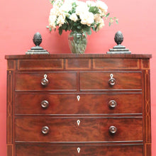 Load image into Gallery viewer, Antique English Bow Front Mahogany Chest with 8 Drawers &amp; Tunbridge Detail. B12530
