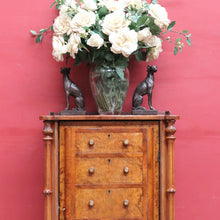 Load image into Gallery viewer, Antique Burr Walnut Hall Cabinet Faux Drawers Columns Bun Feet. B12974
