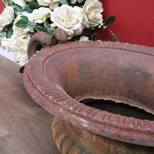 Load image into Gallery viewer, Antique French Cast Iron Medici Urn Campana Garden Planter. B12981
