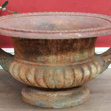 Load image into Gallery viewer, Antique French Cast Iron Medici Urn Campana Garden Planter. B12981
