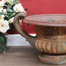 Load image into Gallery viewer, Antique French Cast Iron Medici Urn Campana Garden Planter. B12981
