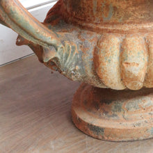 Load image into Gallery viewer, Antique French Cast Iron Medici Urn Campana Garden Planter. B12981
