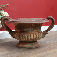 Load image into Gallery viewer, Antique French Cast Iron Medici Urn Campana Garden Planter. B12981
