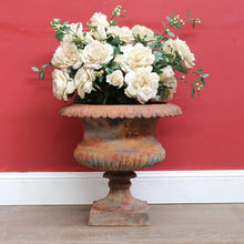 Load image into Gallery viewer, Antique Cast Iron Medici-style Campana shaped Garden Urn Pot Planter B13001

