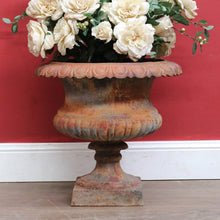 Load image into Gallery viewer, Antique Cast Iron Medici-style Campana shaped Garden Urn Pot Planter B13001
