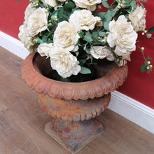 Load image into Gallery viewer, Antique Cast Iron Medici-style Campana shaped Garden Urn Pot Planter B13001

