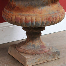 Load image into Gallery viewer, Antique Cast Iron Medici-style Campana shaped Garden Urn Pot Planter B13001
